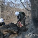 자하경로당 이미지