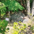 운학동 돌무지군 이미지