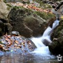 광치마을 이미지