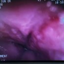 스마일동물의료센터 이미지