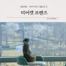 미어캣 | 파주 아이와 가볼만한곳 실내동물체험 “미어캣 프랜즈” 후기