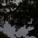 포토라라 | [W] 이포토에세이-야외 라라랜드컷 촬영후기