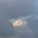 맵수다제대점 이미지