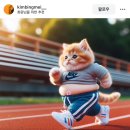 프렌즈스크린 사당남성역점 | 2024년 5월 1-2주 일상