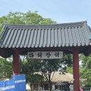 [안동] 안동 하회마을 강아지 동반 여행, 진짜 솔직 후기 1편 (절망편)
