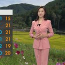 828022 이미지