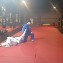 거창유도관 이미지