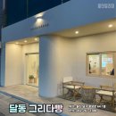 케이크그리다