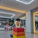 충효태권도(한들물빛관) 이미지