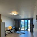 적금해리스 이미지