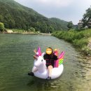 백운의 휴일 이미지