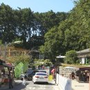 6월 서천독서가치 | 한국식 휴양정원 &#34;죽도 상화원&#34;, 장항자연휴양림과 스카이워크