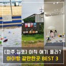 송학농장 | 파주 김포 아기랑 주말에 가볼만한곳 Best3, 이색체험편