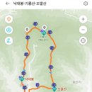 기룡산 등산로4 | 부처손과 낙엽이 유난히 많았던, 영천 기룡산~꼬깔산