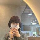 트라움헤어 이미지