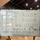 엠투셔틀콕