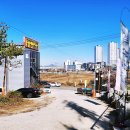 달월순대국