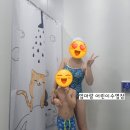 태안군 가족공감센터 어린이 수영장 이미지