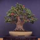 날마다좋은날 이미지