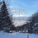 고속 | 오비히로에서 후라노 스키장 가는 법, 일본 고속버스 후기