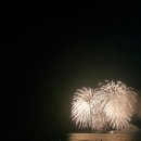 다포회타운 | [대천다포횟집] 대천바다 앞에서 먹는 자연산 활어회