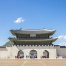 팜 마트 이미지