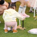 전주의맛 이미지