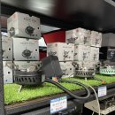 초광산단서로 이미지