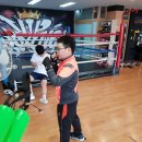 5310복싱클럽 이미지