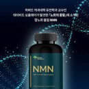 NMN 영양제 노화의 종말 많은 음식 이미지