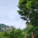 천태산 이미지