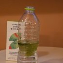 헬시그린