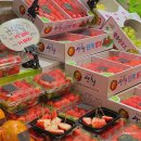 총각네강남 이미지