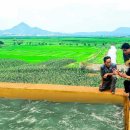 옥암농장 이미지