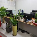 역곡북부시장 이미지