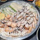 55 | [평택맛집] 서서곱창 방문후기｜비전동 곱창 맛집 인정