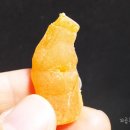 젤리멍 티스토리