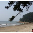 춘장대해수욕장
