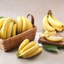 교하헬스 이미지