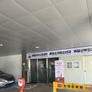 예일병원 | [공지] 시험관 1차, 충격적 난자채취 결과... / 평택난임병원 예일난임센터 평택시험관