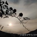 군산농약사 | 소환하라, 너의 기억을... &#39;은빛물결 반짝이는 유년의 뜨락&#39;이 도대체 무엇이길래??? (11/16)