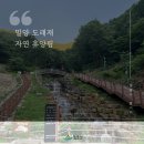 도래재로 | 밀양 도래재 자연휴양림 공유오피스 숲속 힐링 사무 공간 이용후기