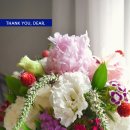 디자인돔