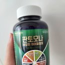 쁘띠앤독 | 임산부 영양제 내돈내산, 초기 임산부 필수템!(+안양종로약국)