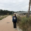 (주)퍼플네스트 | [오엠쥐별록] 19개월 아기랑 인천 네스트호텔 1박 2일 #3 플라츠조식 + 송도 현대프리미엄아울렛