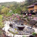 자연의 소리 이미지