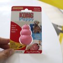 퍼피애견 이미지