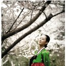 녹의홍상 네이버블로그