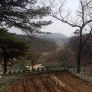 부자명당공인중개사사무소 이미지