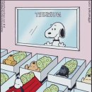 에끌라마마 산후조리원 이미지